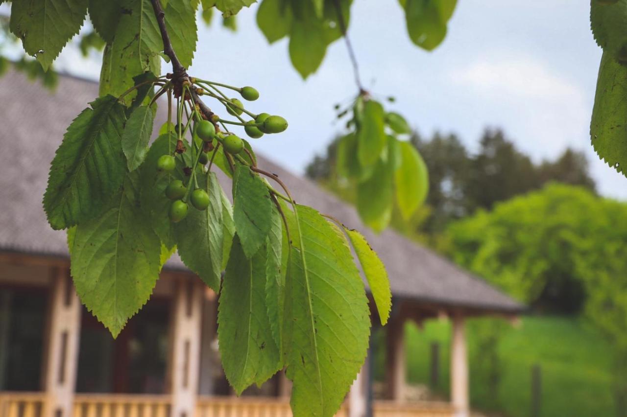 Willa Casa Thymus Soveja Zewnętrze zdjęcie