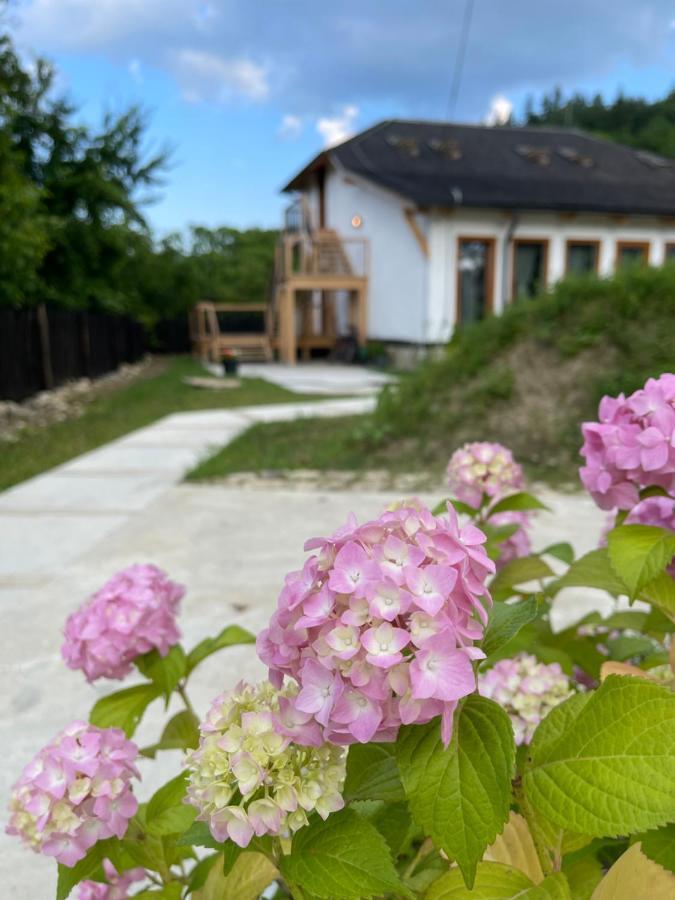 Willa Casa Thymus Soveja Zewnętrze zdjęcie